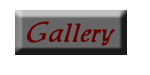 gallery of work